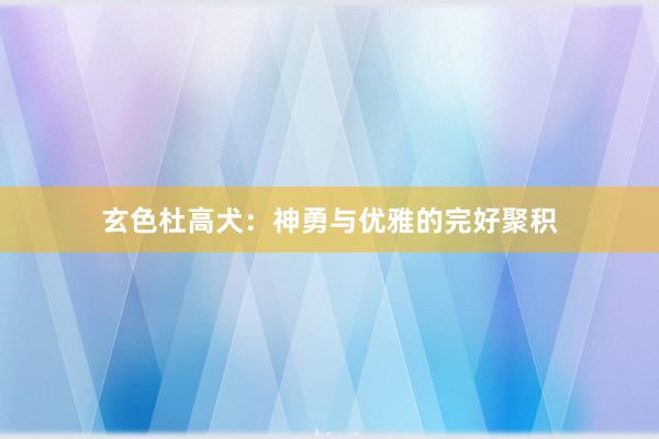玄色杜高犬：神勇与优雅的完好聚积